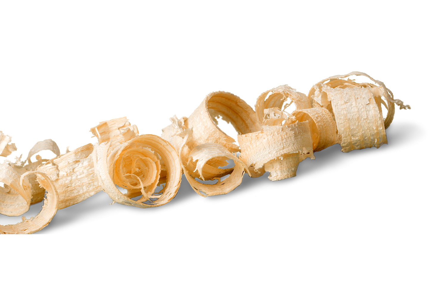 copeaux de bois